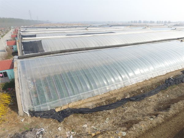 漲知識(shí)！專(zhuān)業(yè)溫室大棚建設(shè)要點(diǎn)