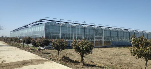 玻璃智能溫室