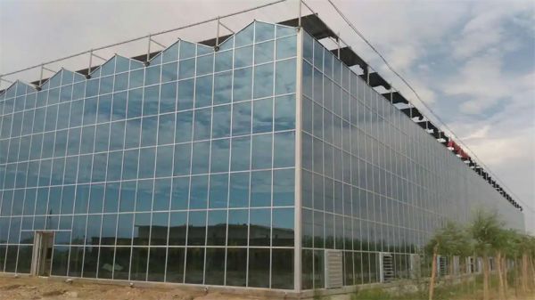 玻璃智能溫室