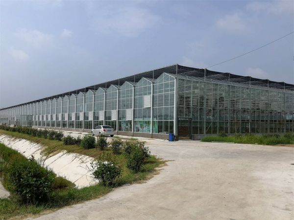 玻璃智能溫室
