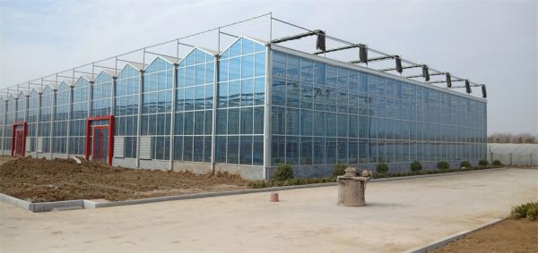 玻璃智能溫室