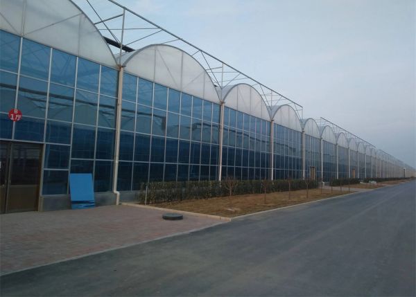 薄膜連棟溫室