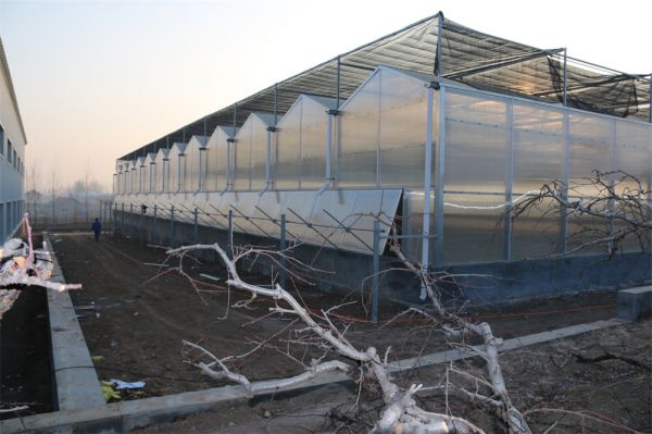 pc陽(yáng)光板智能溫室