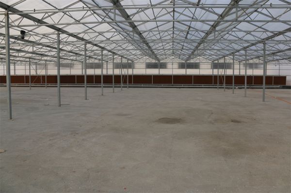 pc陽(yáng)光板智能溫室