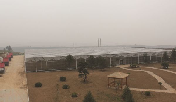 pc陽(yáng)光板智能溫室