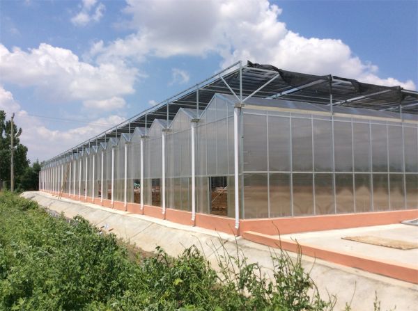 pc陽(yáng)光板智能溫室