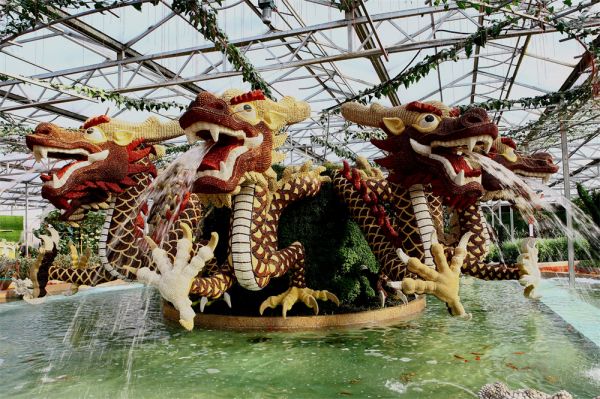 立體栽培與景觀