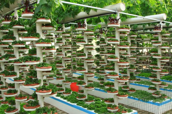 立體栽培與景觀