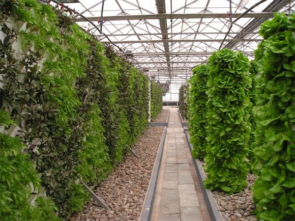 立體栽培與景觀