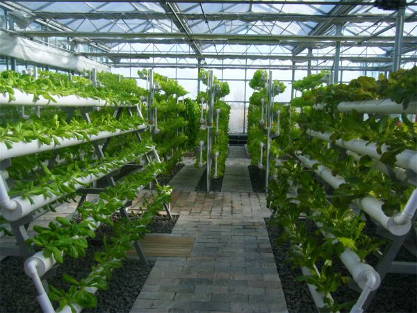 立體栽培與景觀