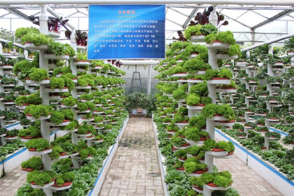 立體栽培與景觀