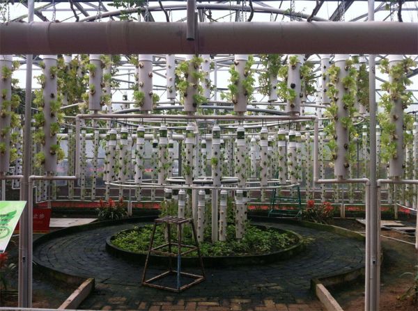 立體栽培與景觀