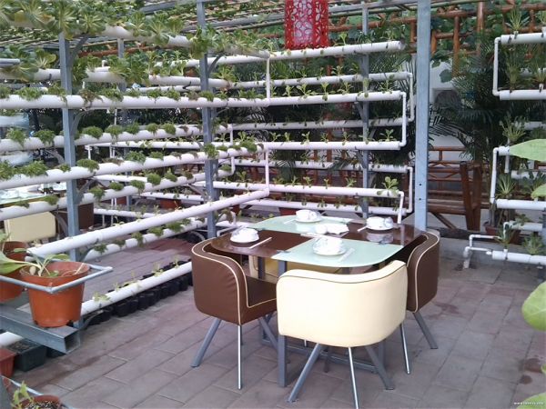 立體栽培與景觀