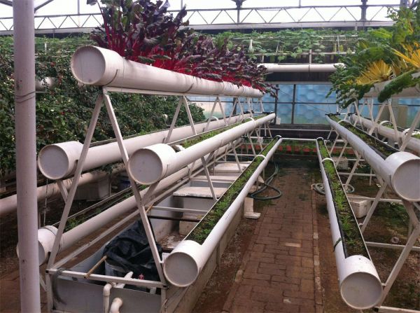 立體栽培與景觀