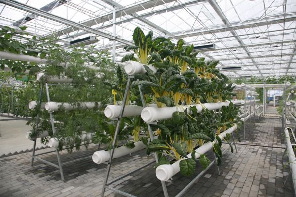 立體栽培與景觀